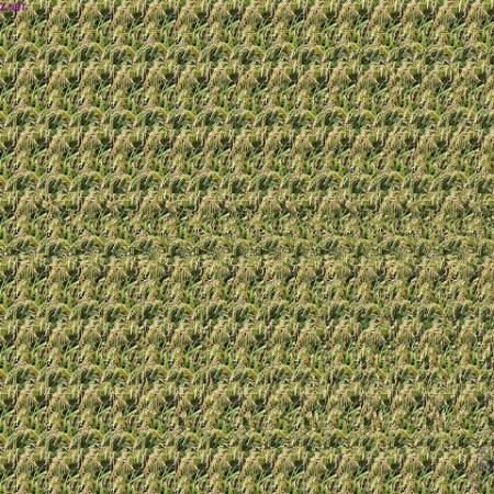 XnQWWqjg9TM_88b3b