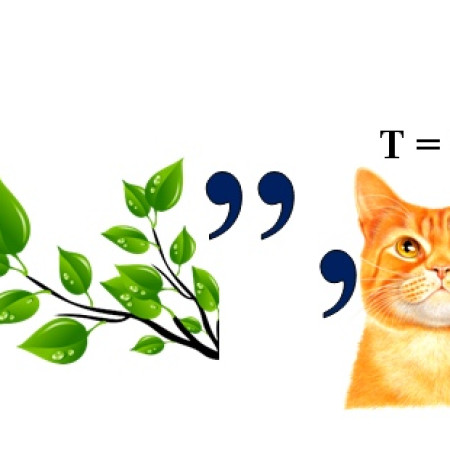 Pi9Bx6XkTWw_77d9a
