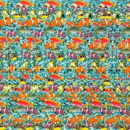 rQrfbqG8Ry8_97574