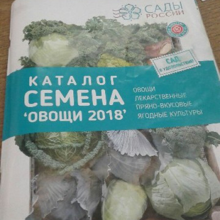 xRNfmQRWeIE_03f1b